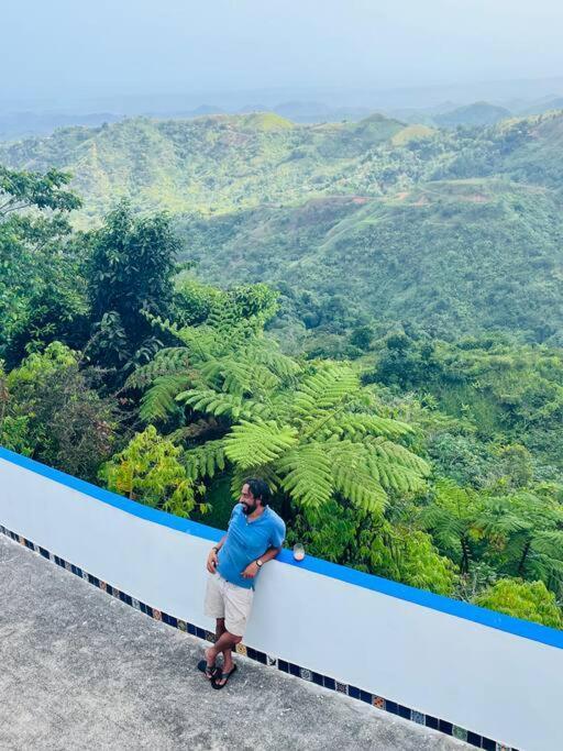 Villa Verde Luz: A Virgin Forest Yauco Exteriör bild