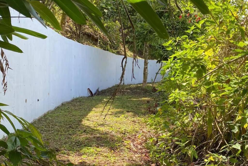 Villa Verde Luz: A Virgin Forest Yauco Exteriör bild