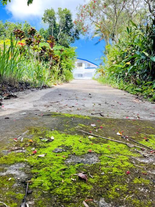 Villa Verde Luz: A Virgin Forest Yauco Exteriör bild