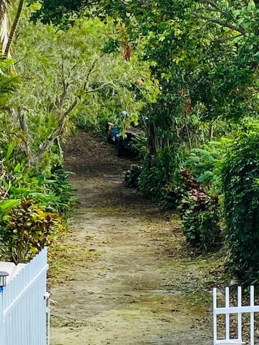 Villa Verde Luz: A Virgin Forest Yauco Exteriör bild