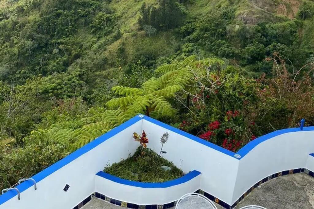 Villa Verde Luz: A Virgin Forest Yauco Exteriör bild