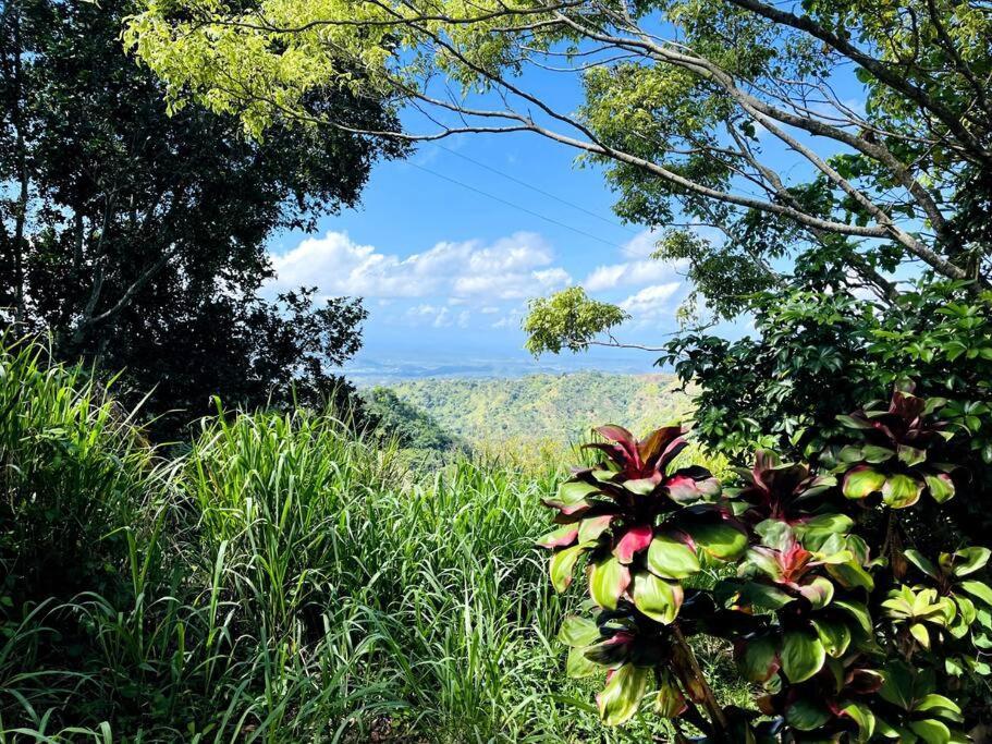 Villa Verde Luz: A Virgin Forest Yauco Exteriör bild