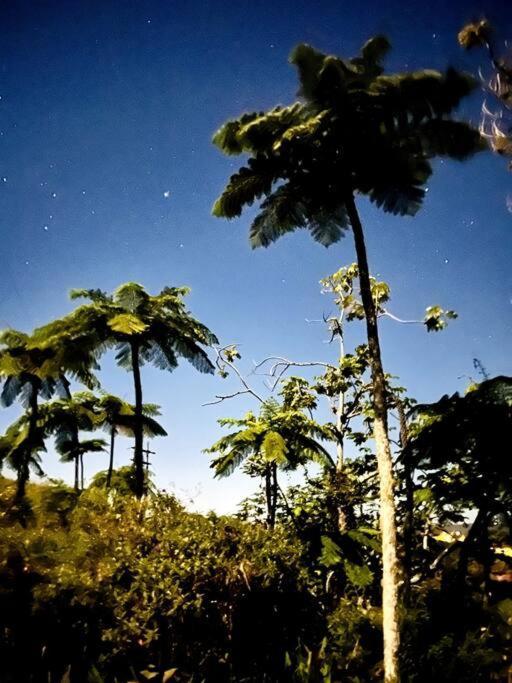 Villa Verde Luz: A Virgin Forest Yauco Exteriör bild