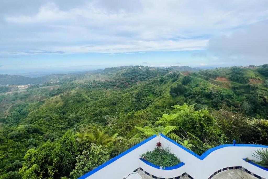 Villa Verde Luz: A Virgin Forest Yauco Exteriör bild